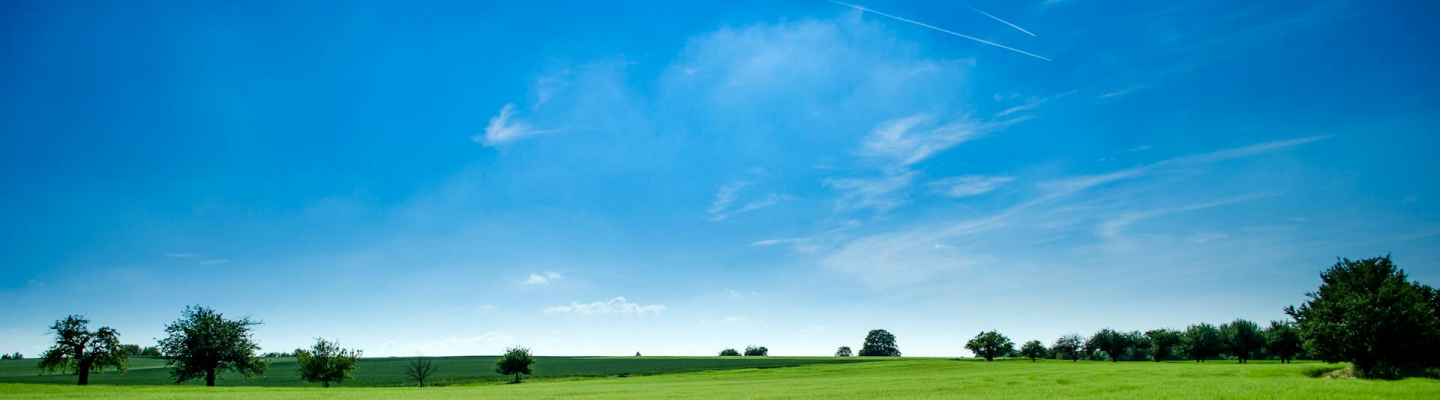 Immagine ambito di intervento agricoltura sostenibile, benessere animale e biodiversità